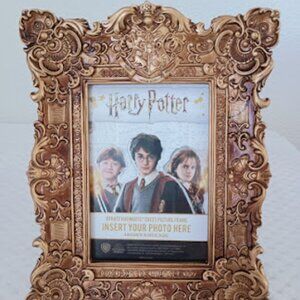 Harry Potter Hogwarts Crest Picture Frame